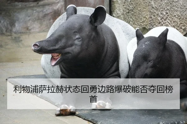 利物浦萨拉赫状态回勇边路爆破能否夺回榜首