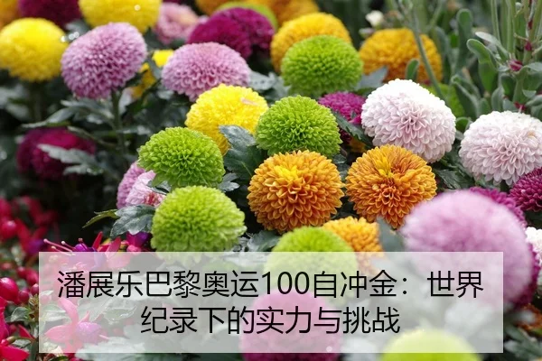 潘展乐巴黎奥运100自冲金：世界纪录下的实力与挑战