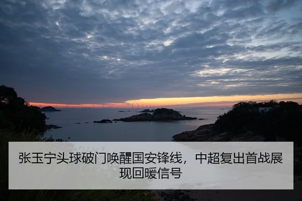 张玉宁头球破门唤醒国安锋线，中超复出首战展现回暖信号
